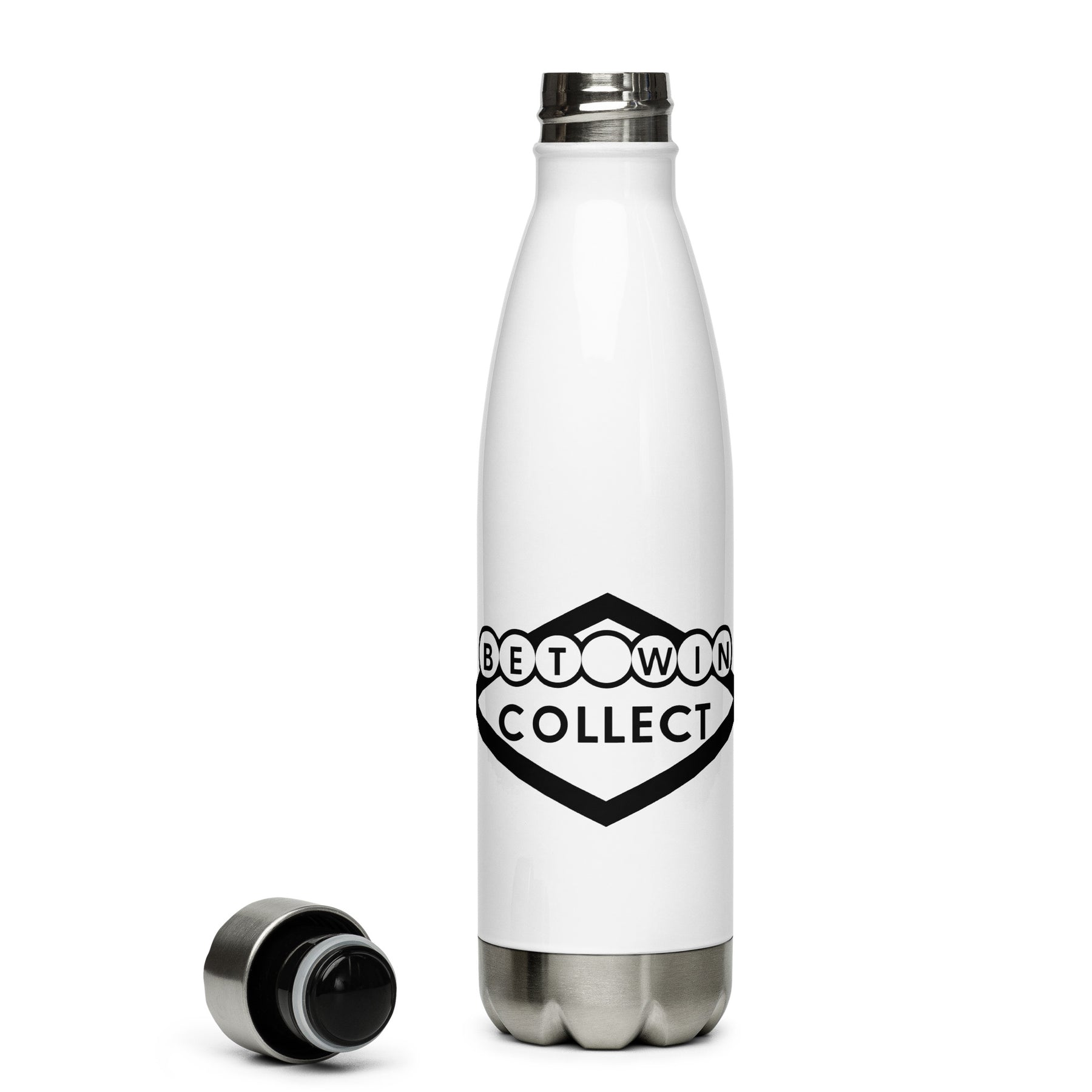 Stainless Steel Water Bottle